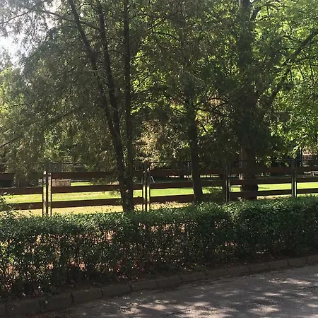 Fenyves Family And Guest house Hajduszoboszlo